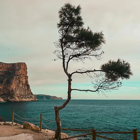 Vista Divina