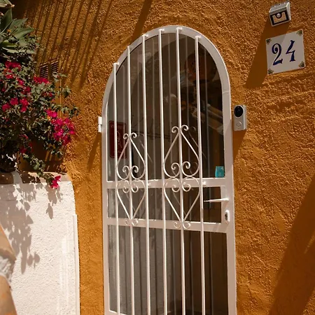 Vista Divina